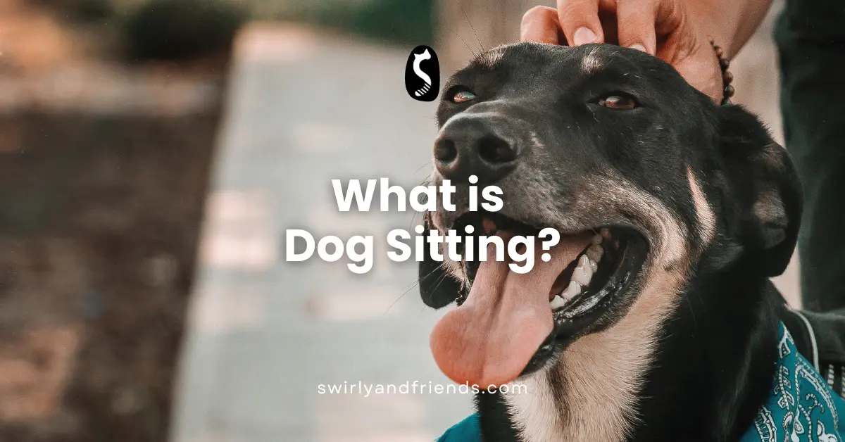 What is Dog Sitting?